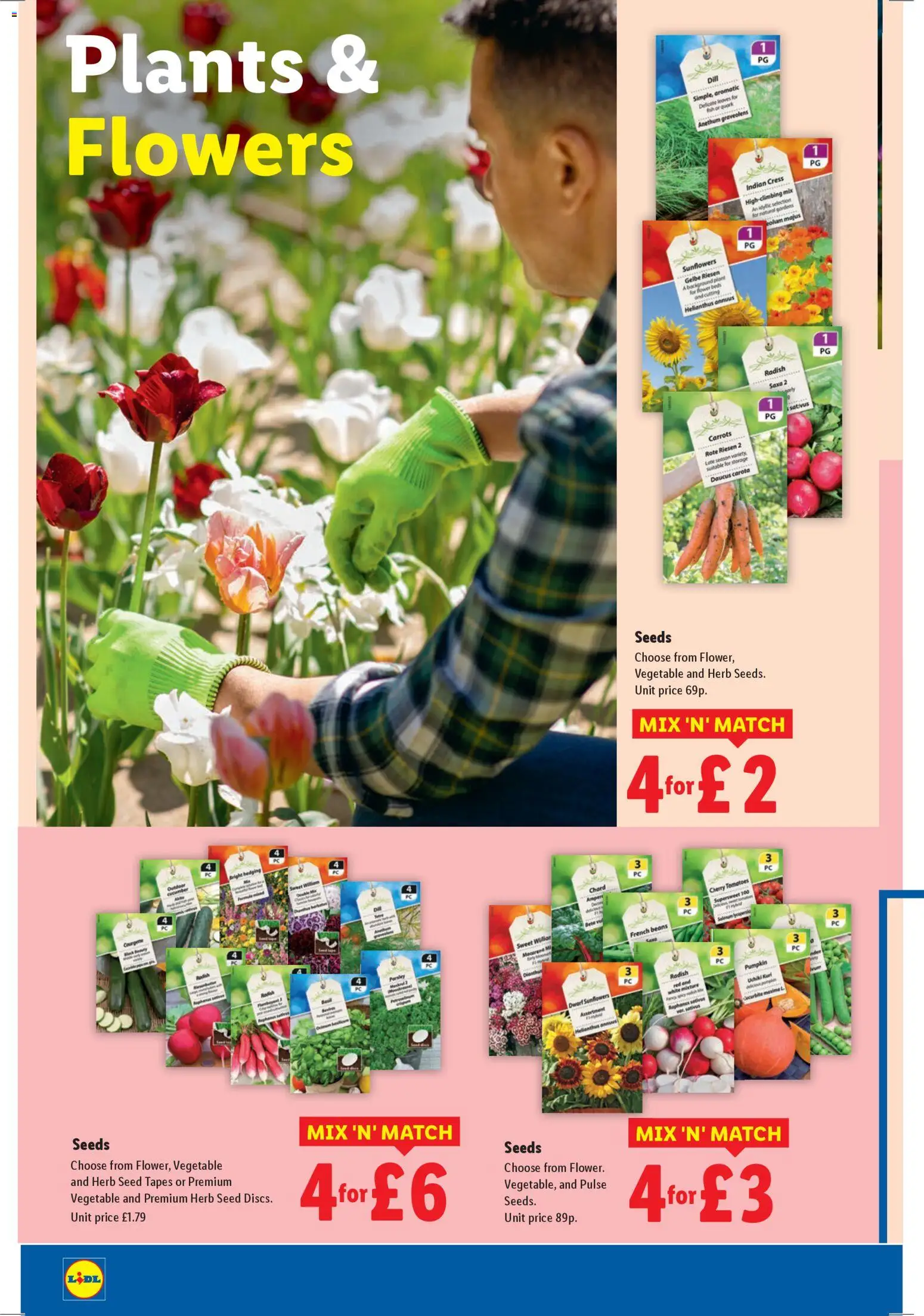 {H1} | Page: 20 | Products: Herb, Courgette, Basil, Tomatoes