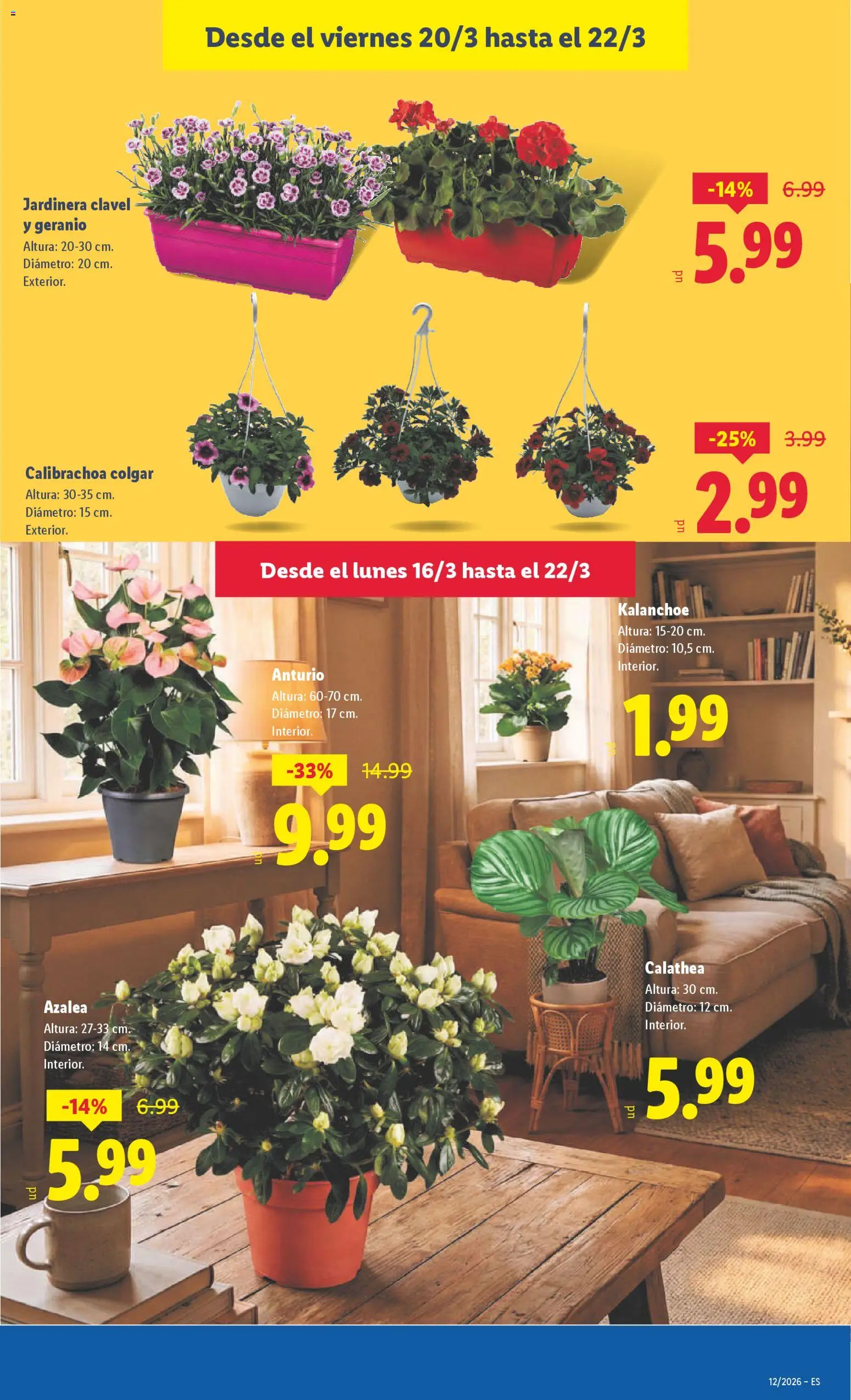 Lidl folleto │ válido desde el 16.03.2026 | Página: 45 | Productos: Jardinera