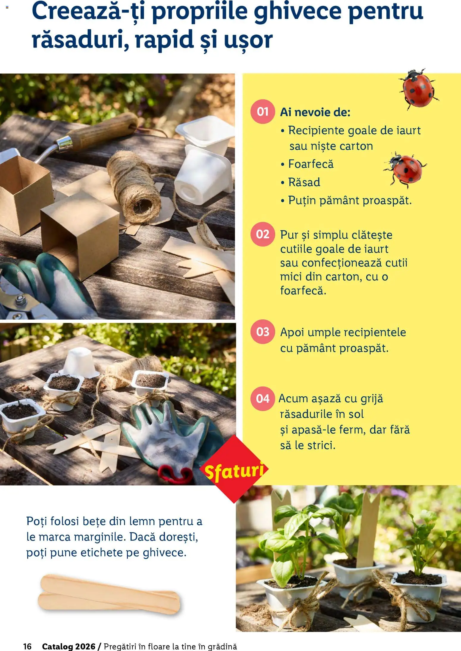 Noul catalog Lidl – valabil de la 19.02.2026 | Pagină: 16 | Produse: Mici, Recipiente, Iaurt