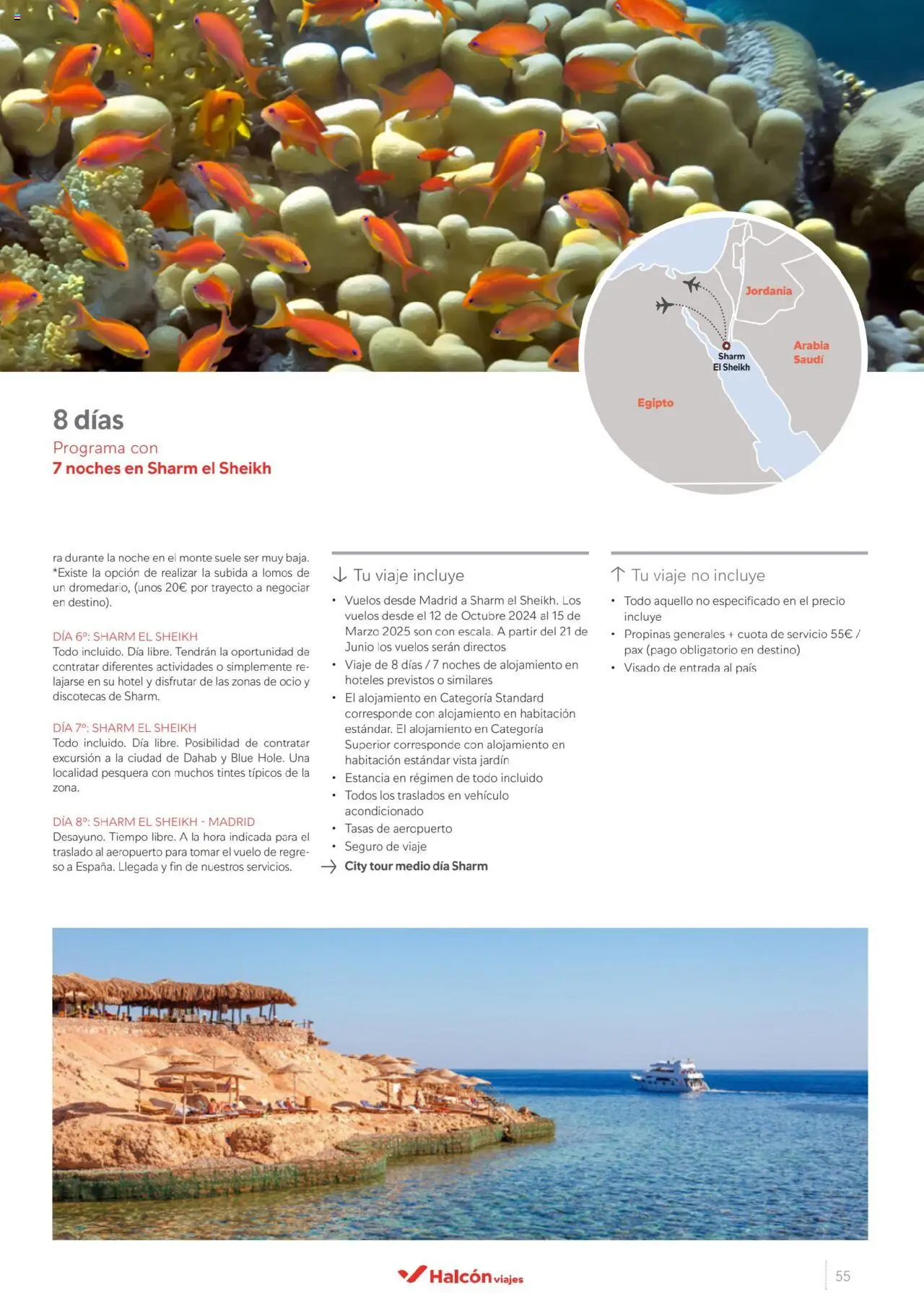 Halcón Viajes Egipto │ válido desde el 01.07.2025 | Página: 55