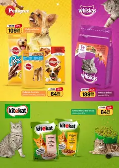 Aman katalog - važi od 04.08.2025 | Strana: 47