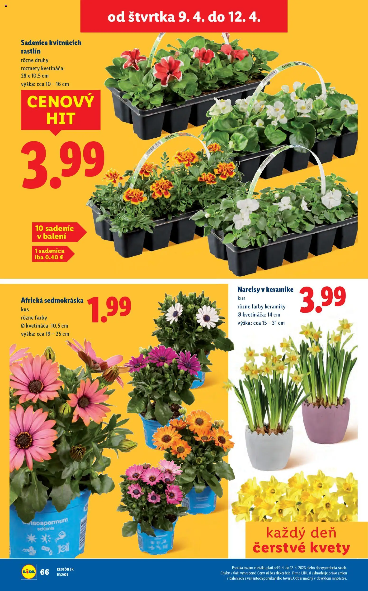 Nové Lidl akcie – leták je platný od 06.04.2026 | Strana: 68 | Produkty: Kvety