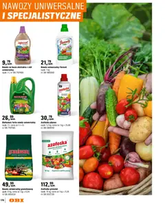 Pogląd oferty "OBI gazetka - Ogród" - ważna od 11.03.2026 | Strona: 170 | Produkty: Kwiaty, Warzywa, Owoce