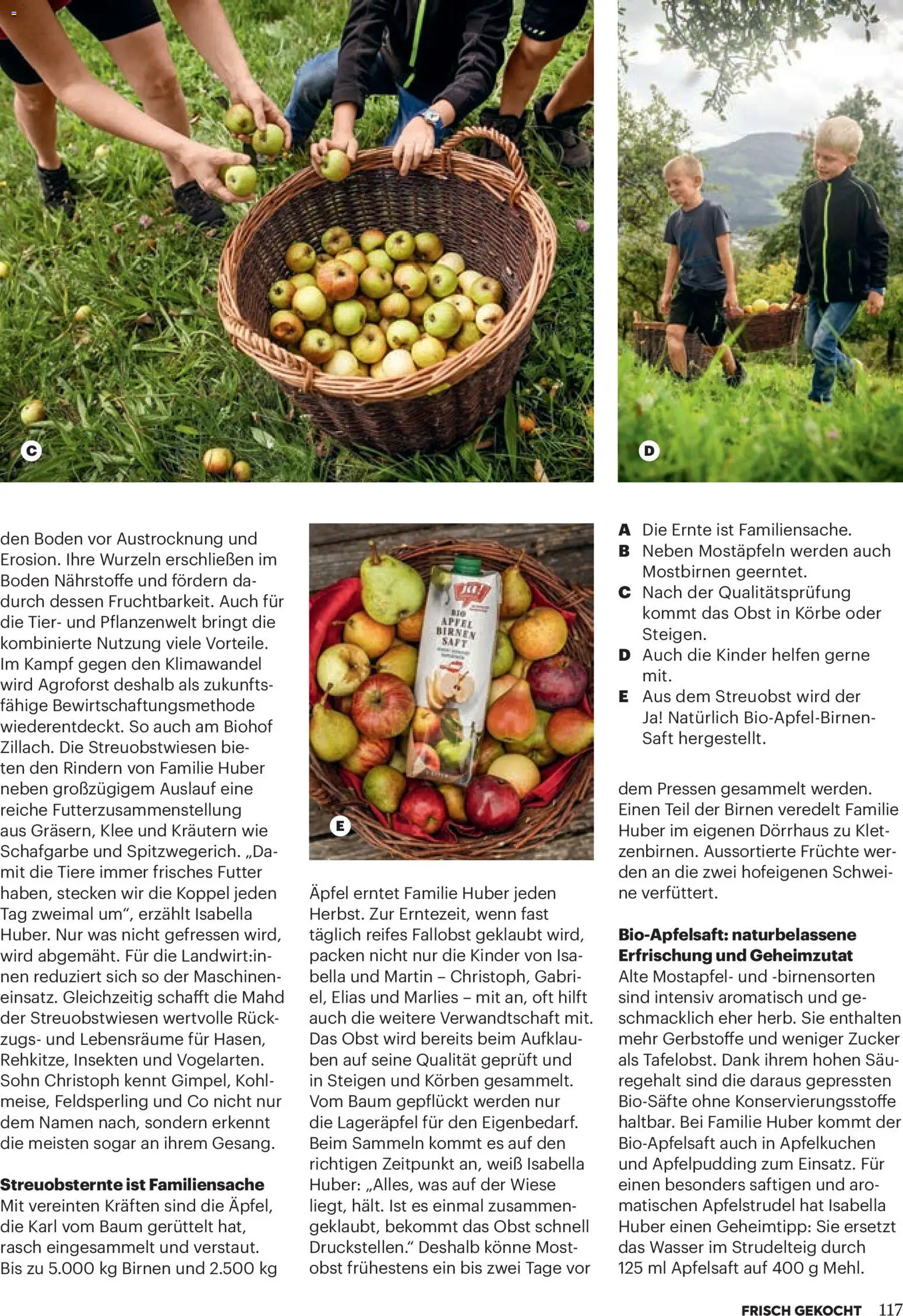 Billa  Frisch Gekocht gültig ab 01.01.2026 | Seite: 113 | Produkte: Wasser, Zucker, Planche de surf, Äpfel