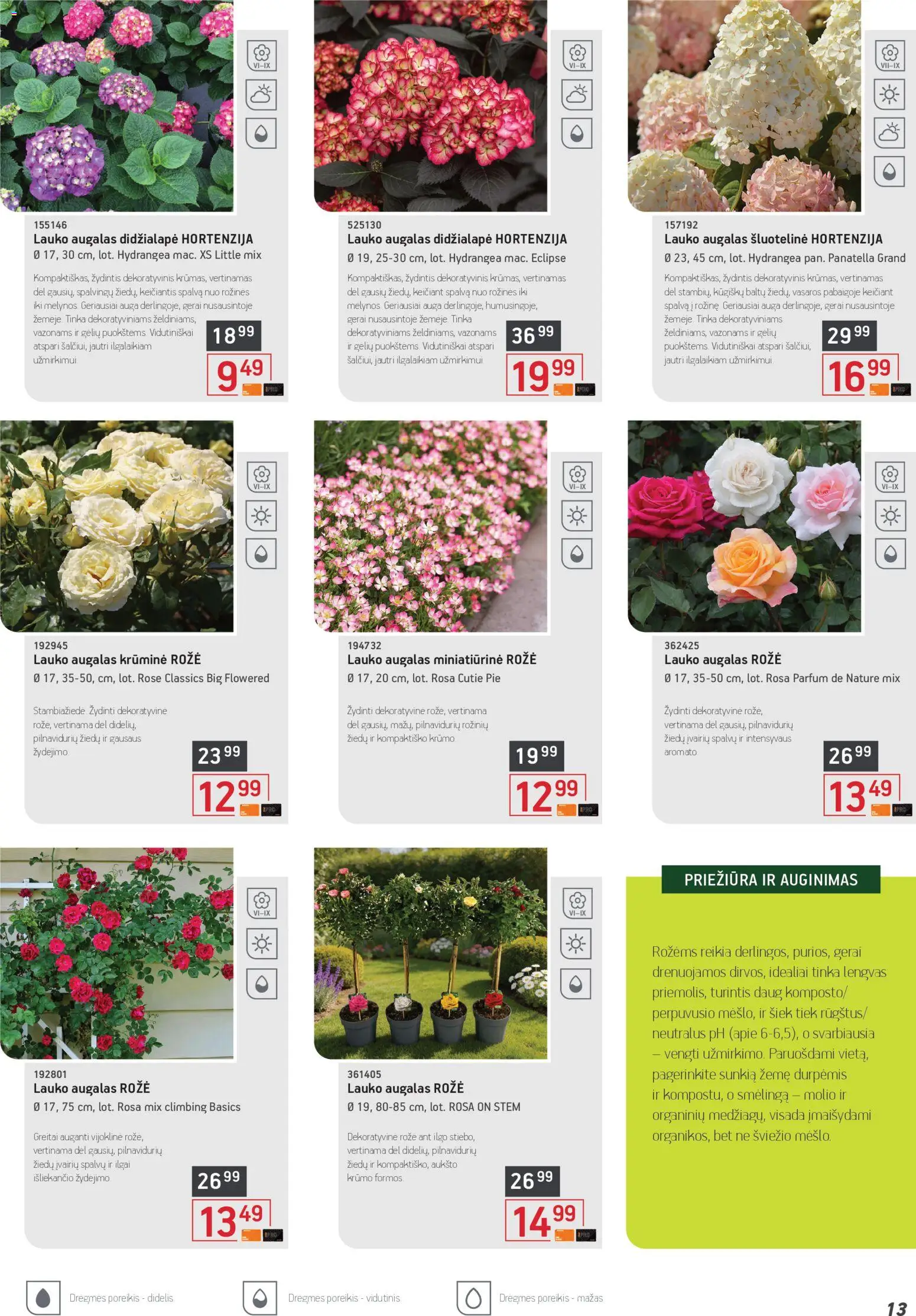 ERMITAŽAS akcijos nuo 04.05.2026 | Puslapis: 13