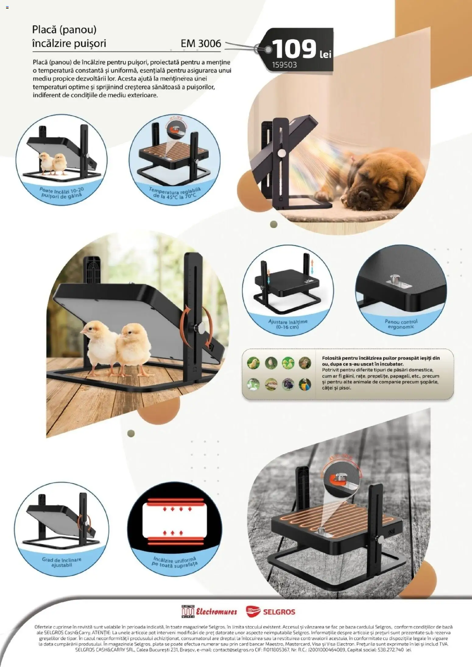 Noul catalog Selgros – valabil de la 13.03.2026 | Pagină: 6