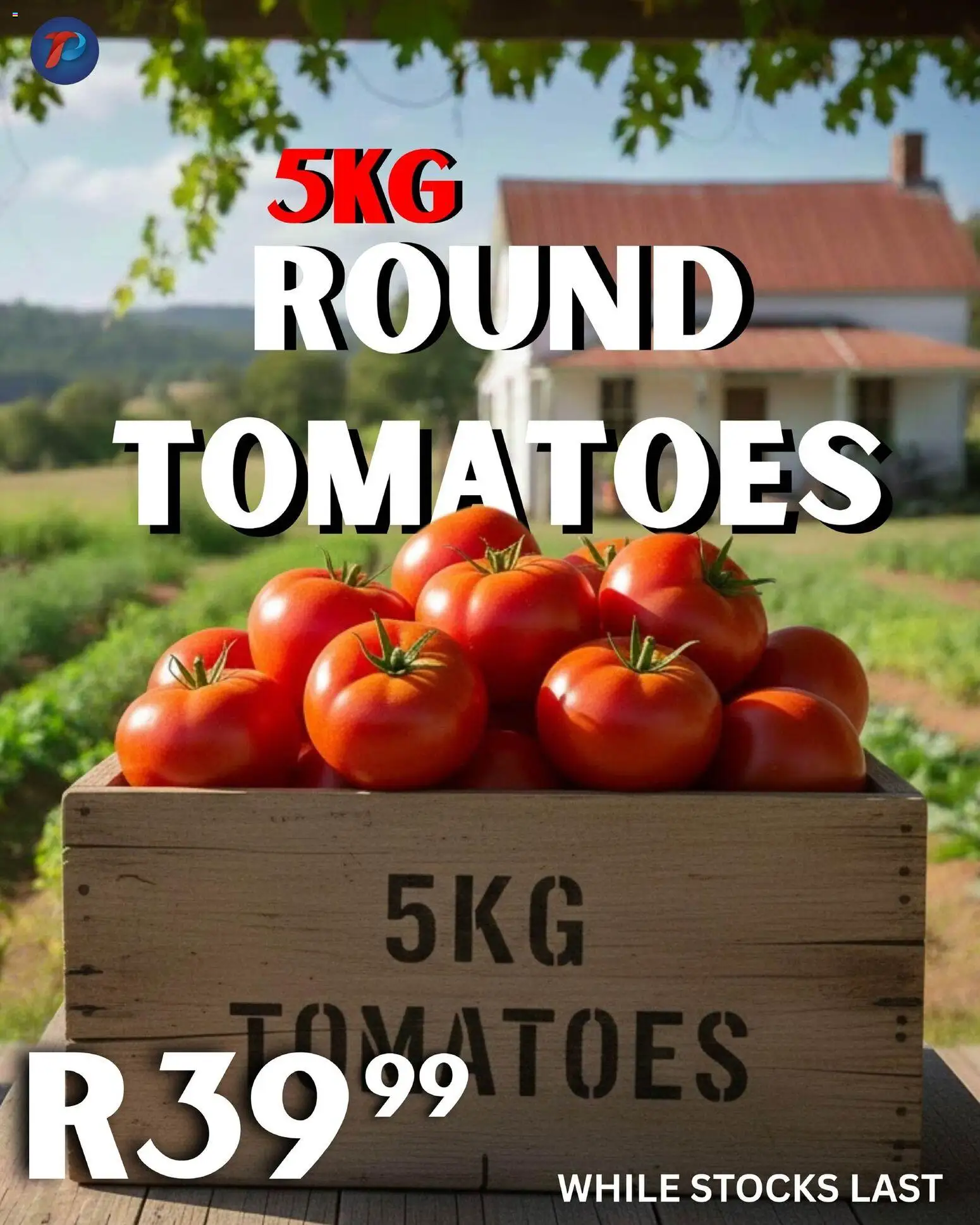 New Take n Pay catalogue – valid from 17.02.2026 | Page: 14 | Products: Tomatoes