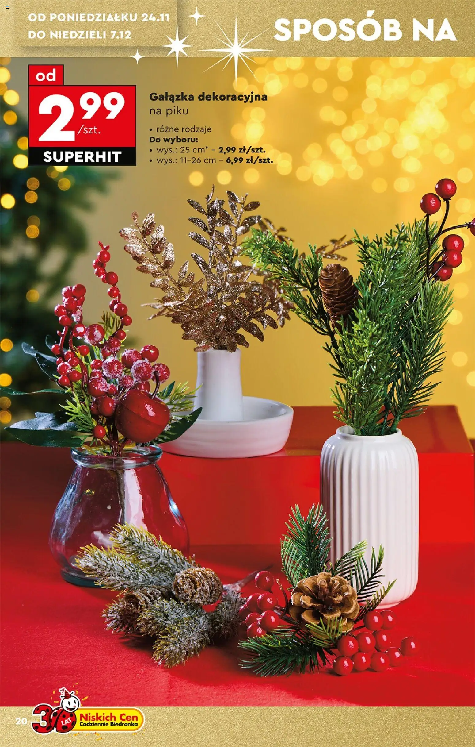 Biedronka Black Friday od 24.11.2025 | Strona: 22