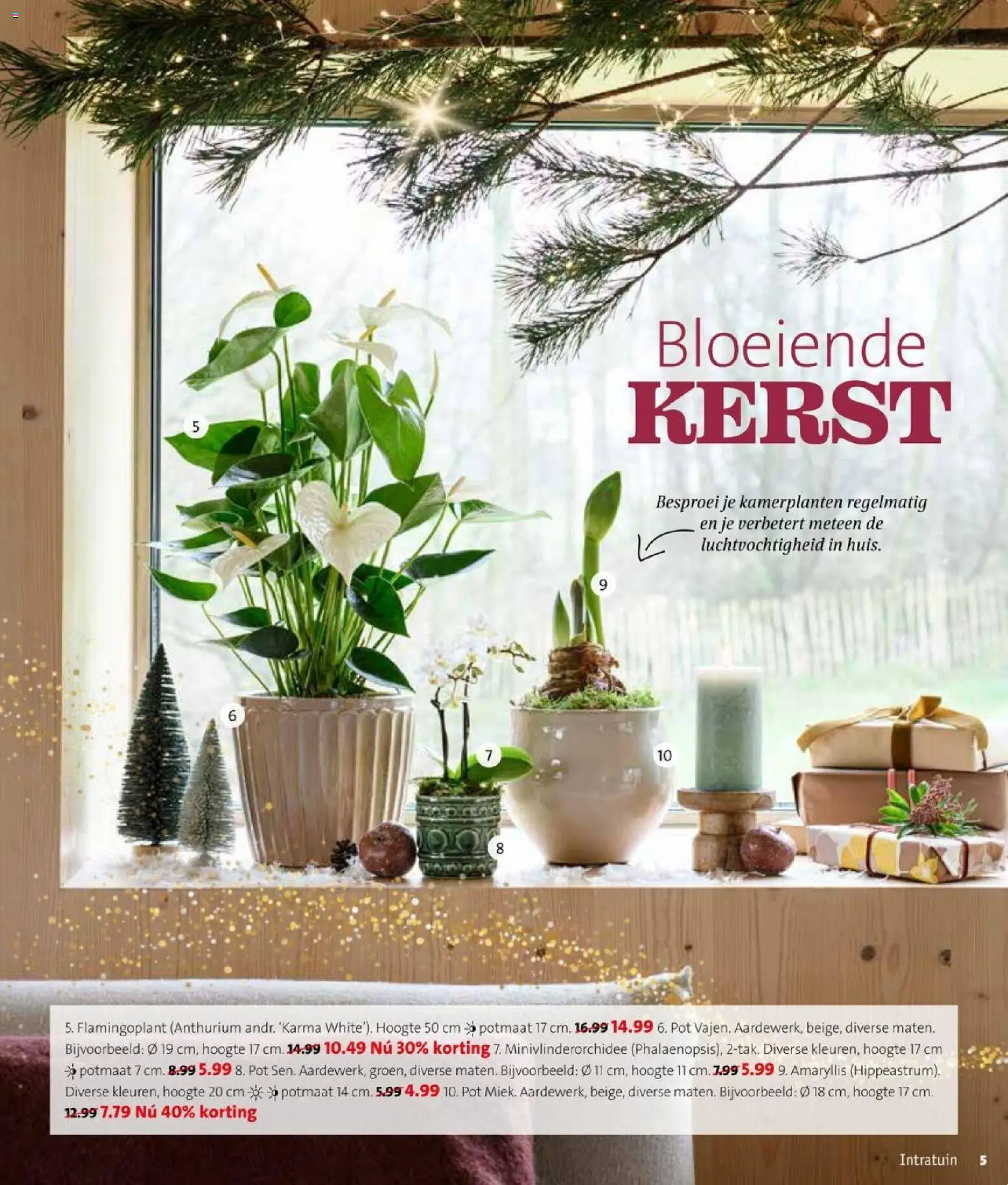 {H1} | Pagina: 5 | Producten: Pot, Kamerplanten