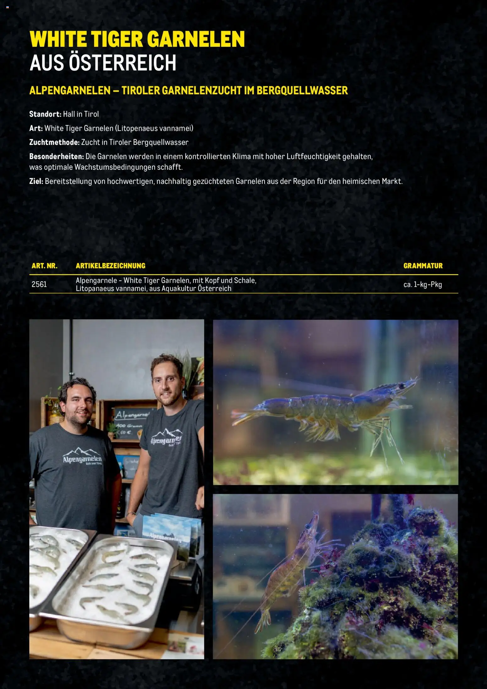 Metro Garnelen Folder gültig ab 27.11.2025 | Seite: 13