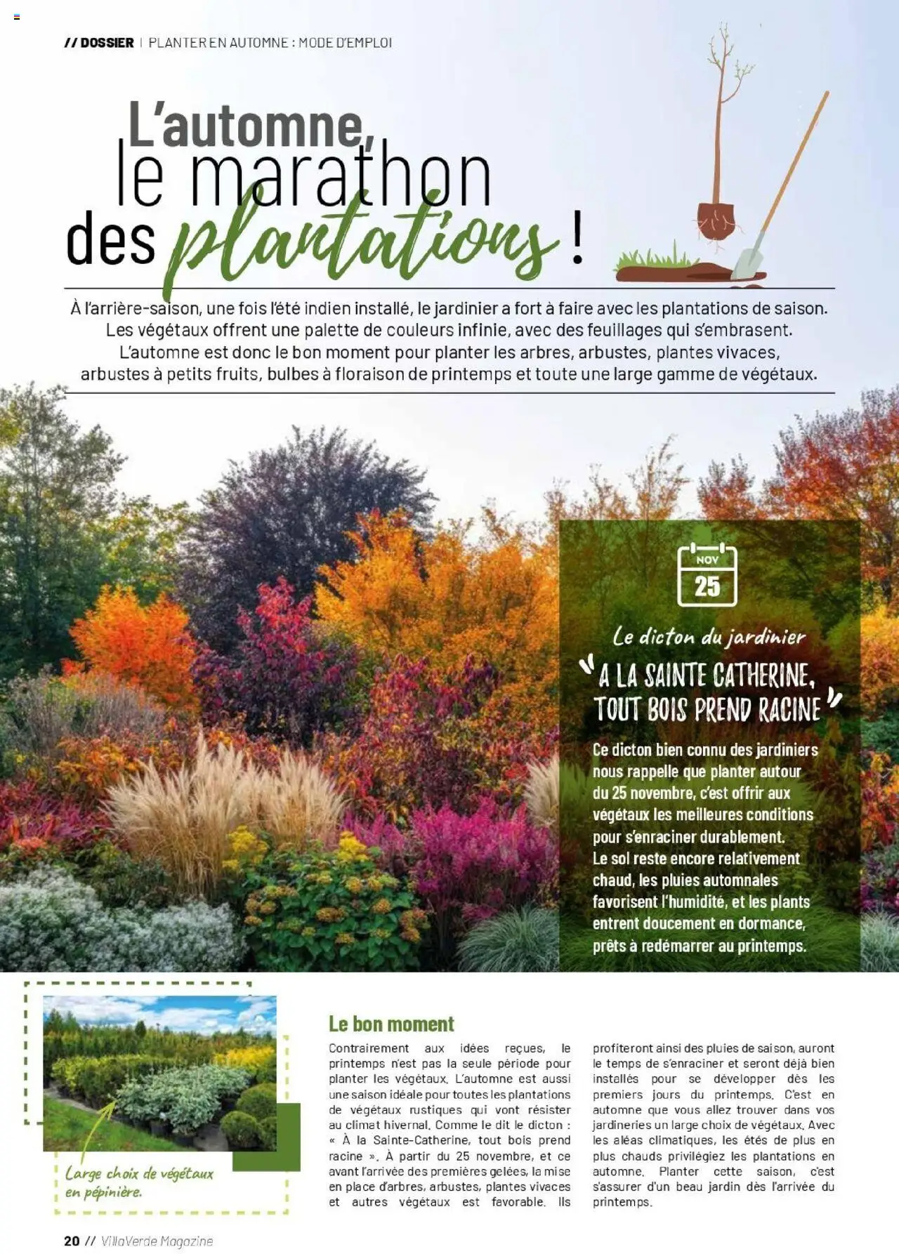 {H1} | Page: 20 | Produits: Plantes, Magazine