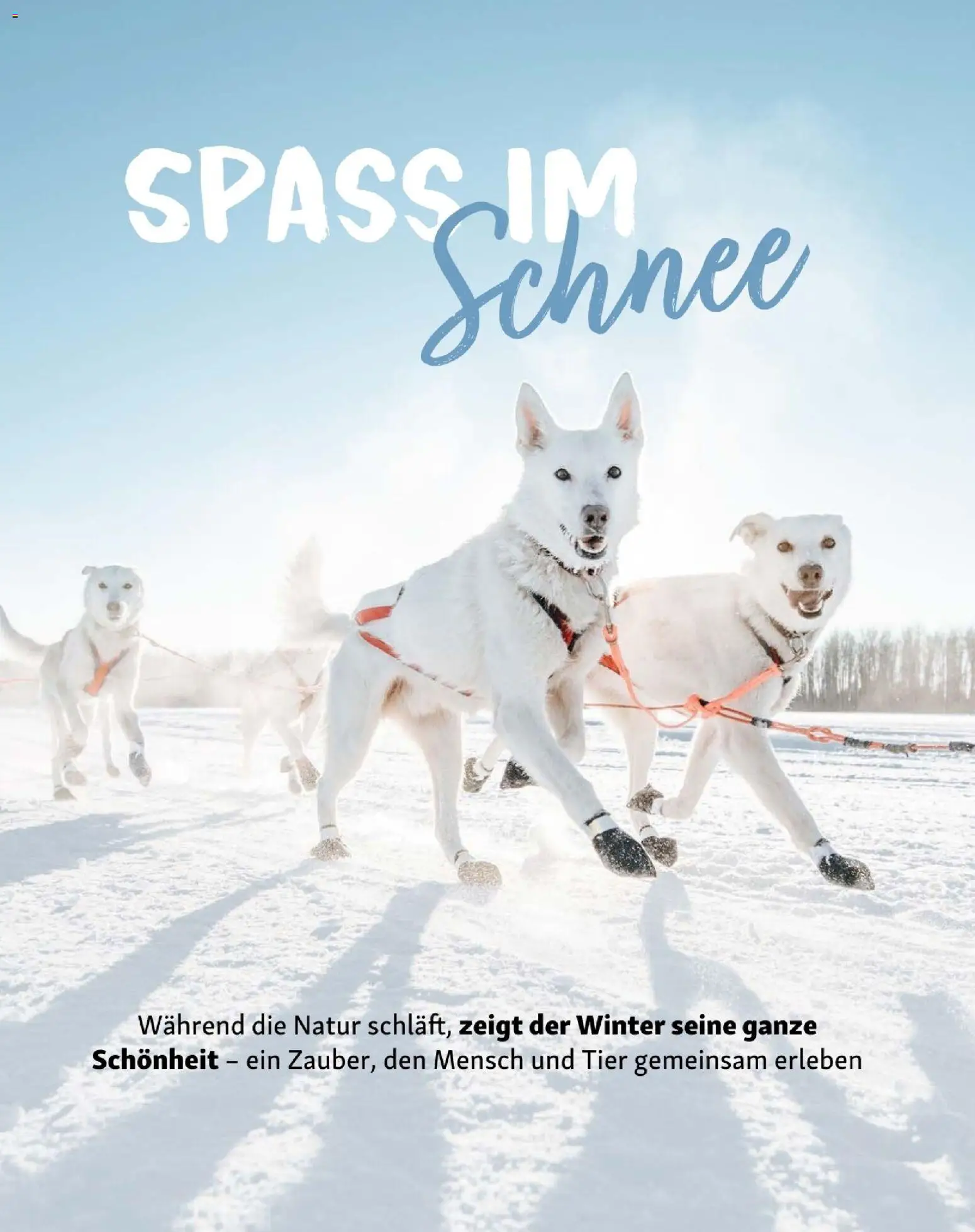 Fressnapf Friends 01/26 gültig ab 01.01.2026 | Seite: 10