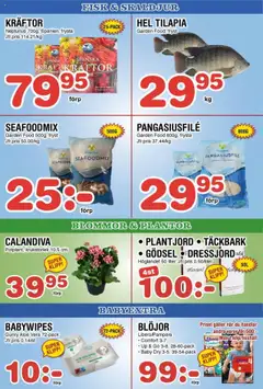 Nya Pulsen reklamblad aktuell från 28.07.2025 | Sida: 16 | Produkter: Kräftor, Täckbark, Galler, Blöjor