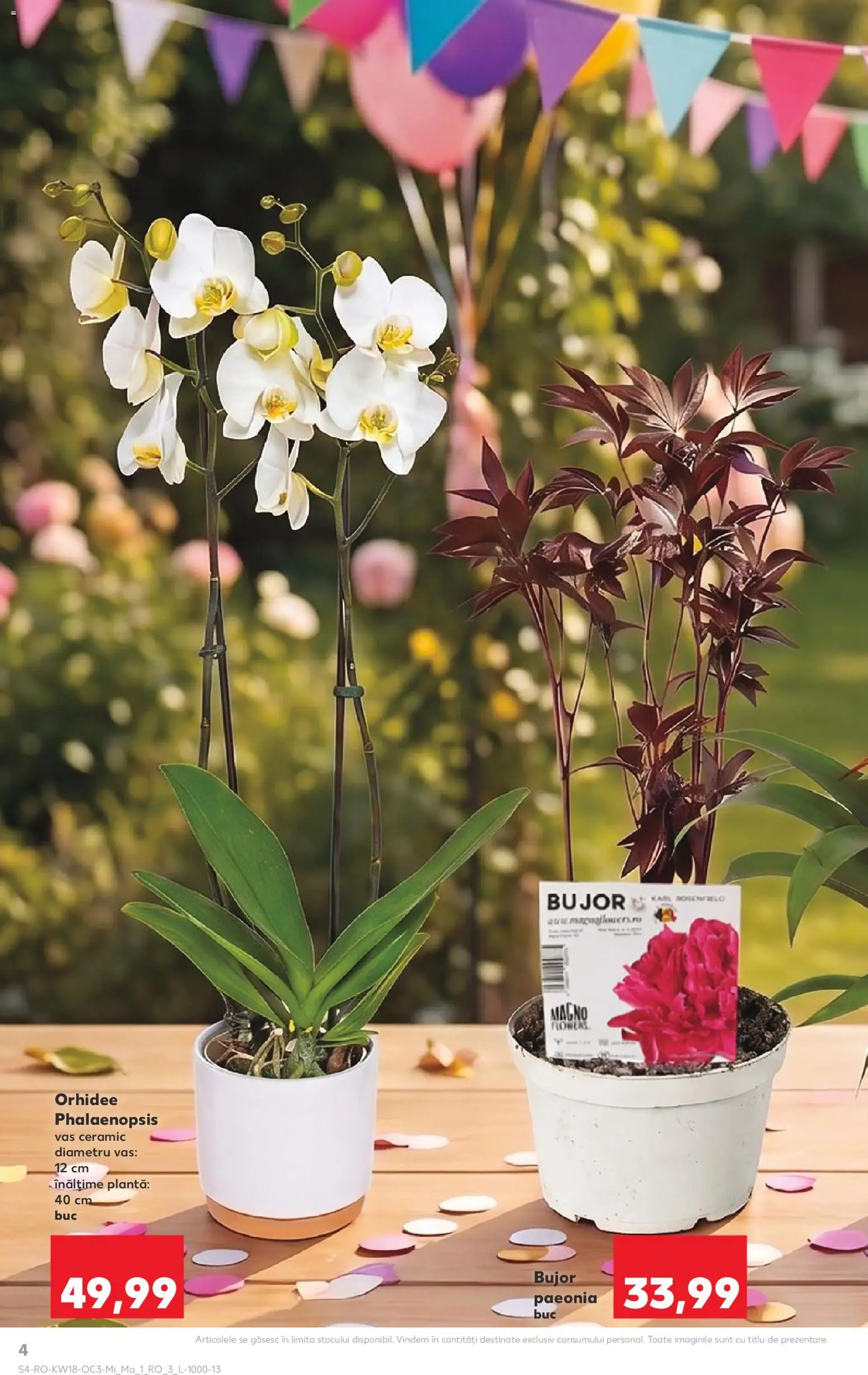 Noul catalog Kaufland – valabil de la 29.04.2026 | Pagină: 4 | Produse: Orhidee