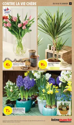 Intermarché - Prévisualisation de BOUQUET 12 TULIPES, coloris variés valide à partir de 13.01.2026 | Page: 17