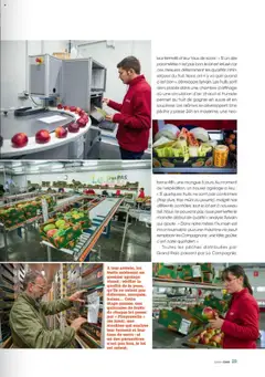  | Page: 29 | Produits: Sucre, Mangue, Pêche
