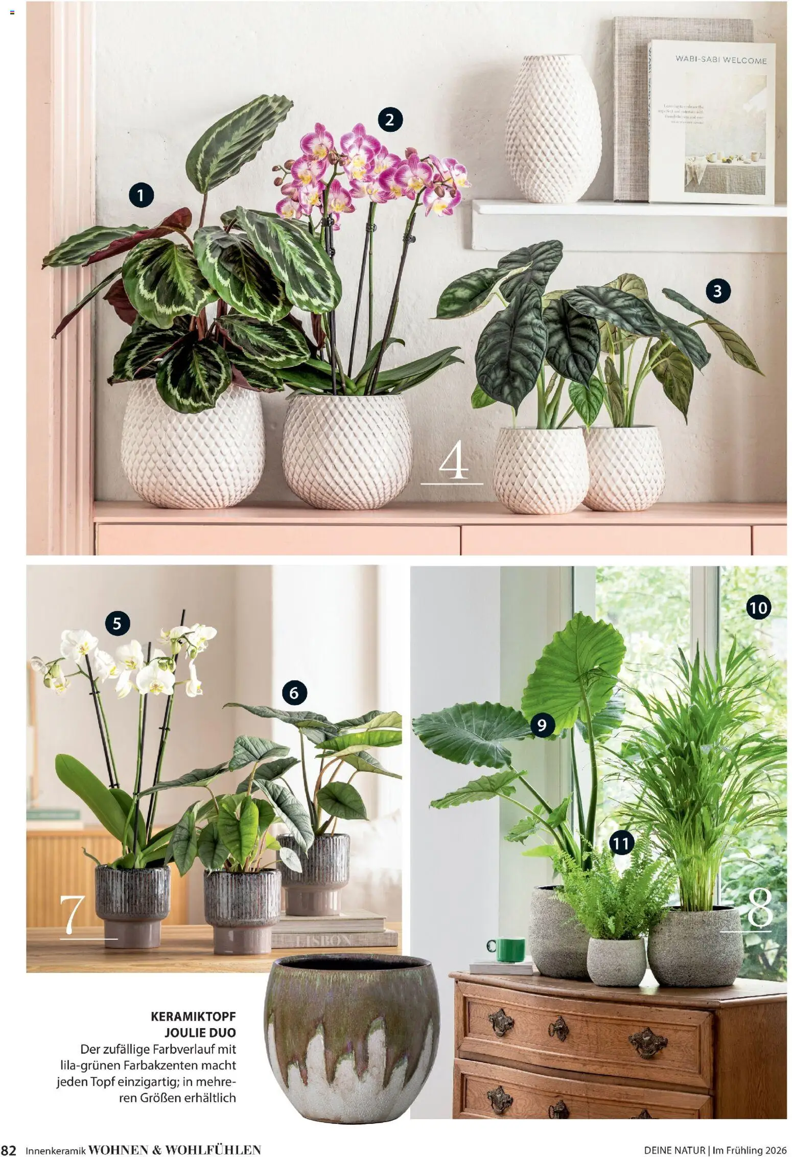 Dehner Flugblatt gültig ab 05.03.2026 | Seite: 82