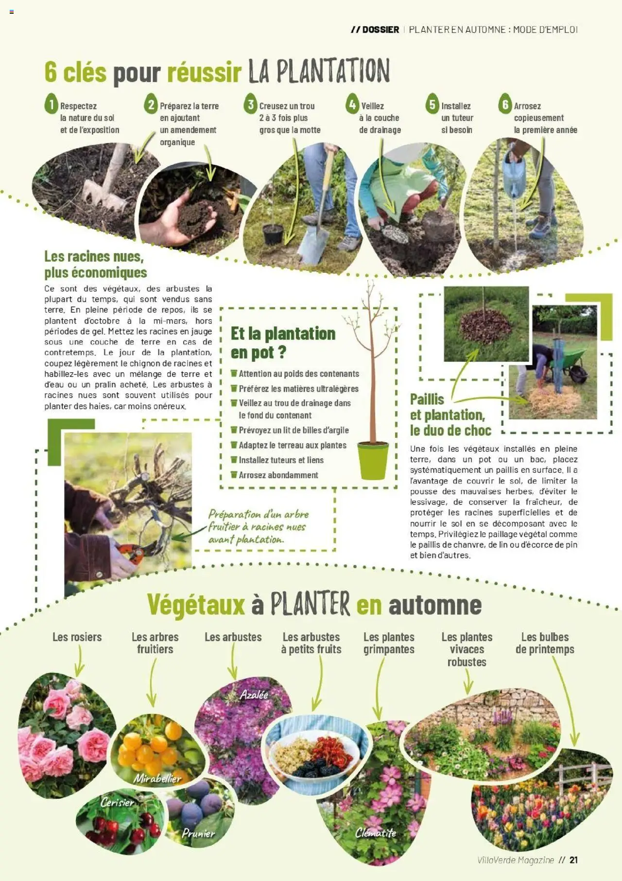  | Page: 21 | Produits: Poids, Plantes, Terreau, Magazine