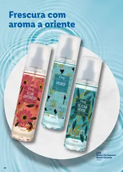 Pré-visualização Lidl Beleza Inteligente válido de 16.03.2026 | Página: 54 | Produtos: Chá