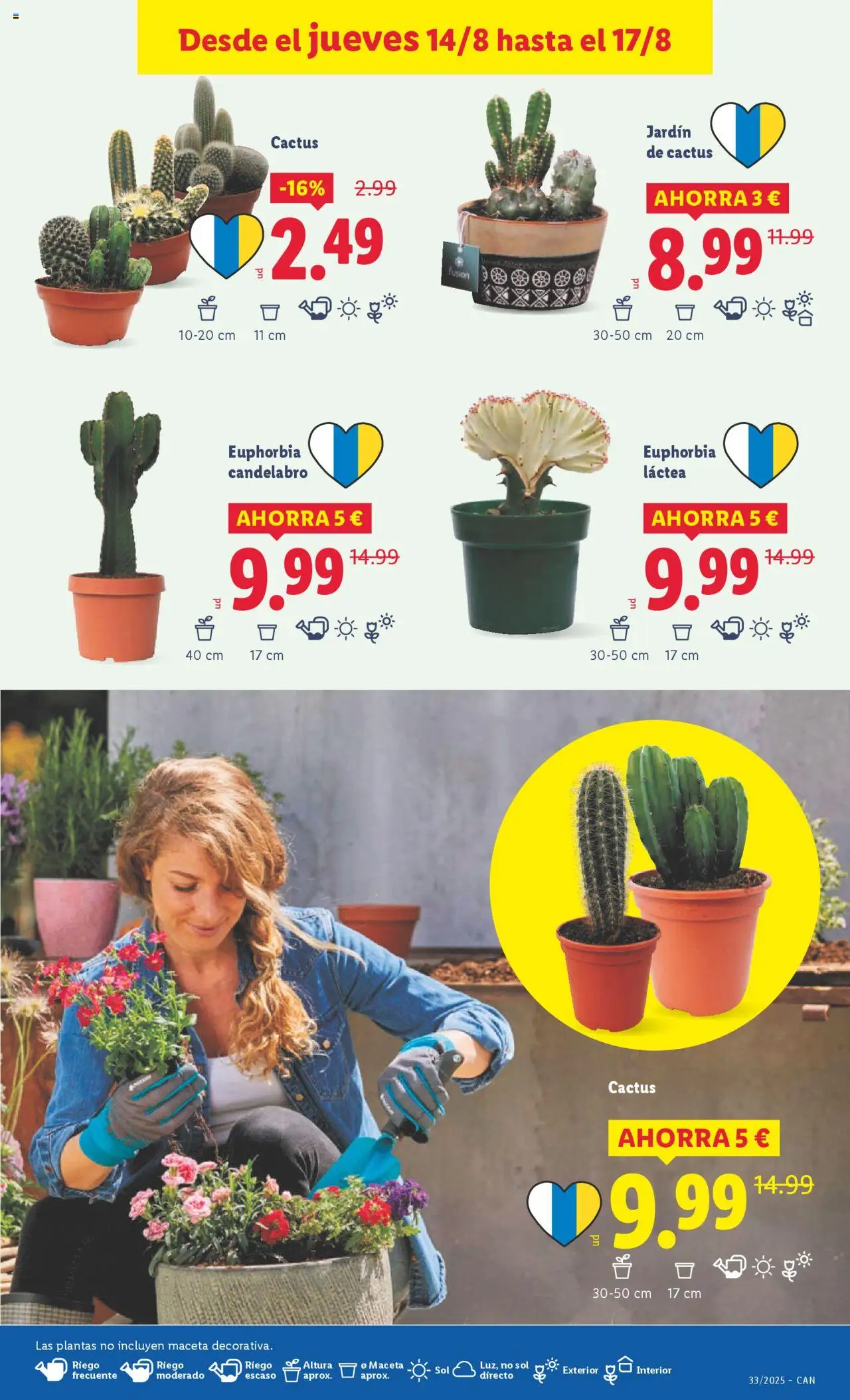 Lidl - Canarias  │ válido desde el 11.08.2025 | Página: 39 | Productos: Candelabro, Maceta