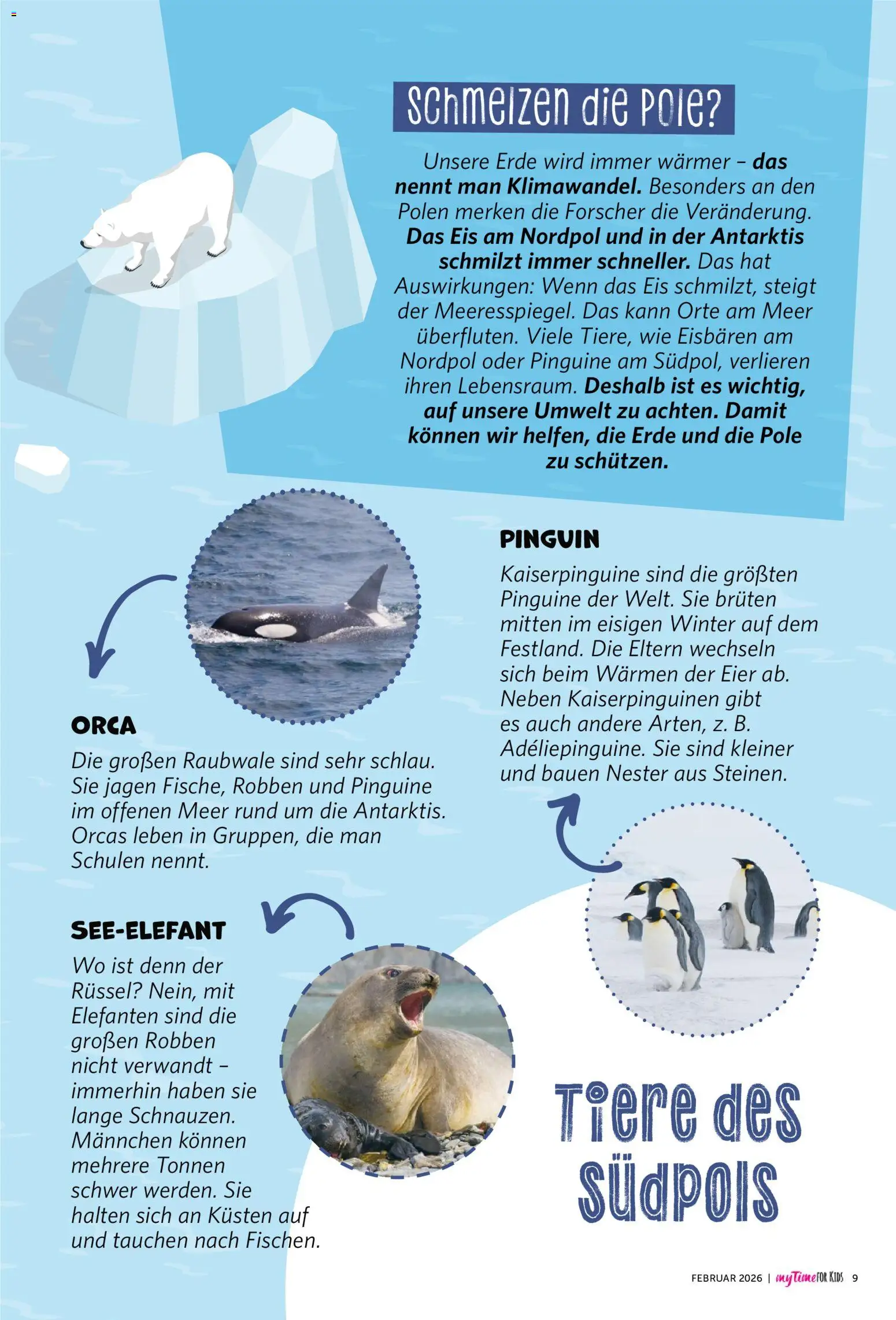 Combi myTime Februar 2026 – gültig ab 01.02.2026 | Seite: 68 | Produkte: Eier, Eis