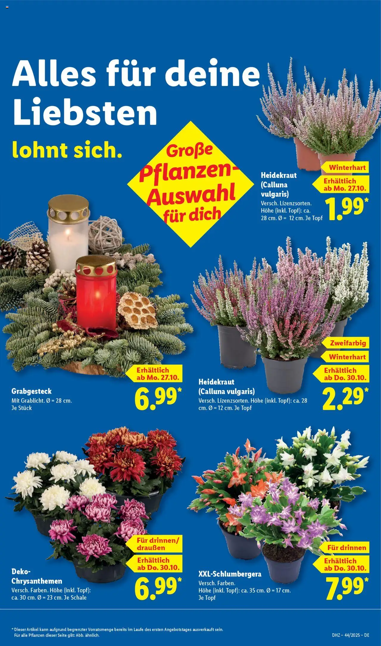 Lidl Prospekt Kornwestheim – gültig ab 27.10.2025 | Seite: 21