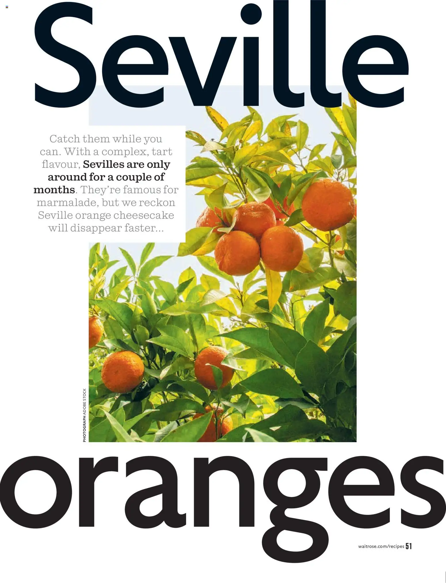 {H1} | Page: 51 | Products: Cheesecake, Oranges, Orange