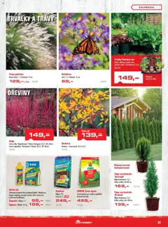 Uni Hobby leták od 28.08.2025 | Strana: 35 | Produkty: Květináče, Zahrada, Rostliny, Semena