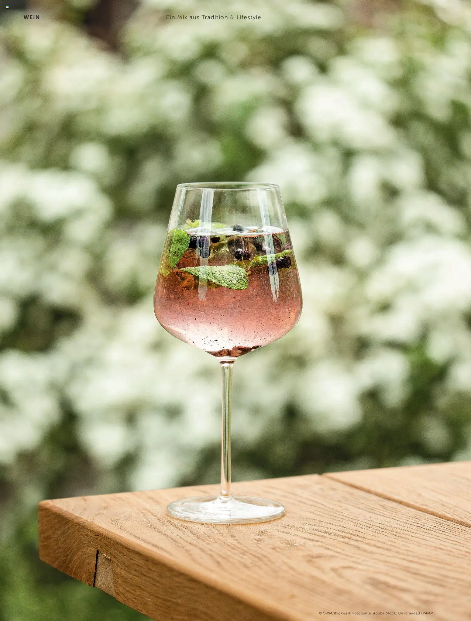 Interspar Meine Weinwelt Frühling 2026 gültig ab 05.03.2026 | Seite: 14 | Produkte: Wein