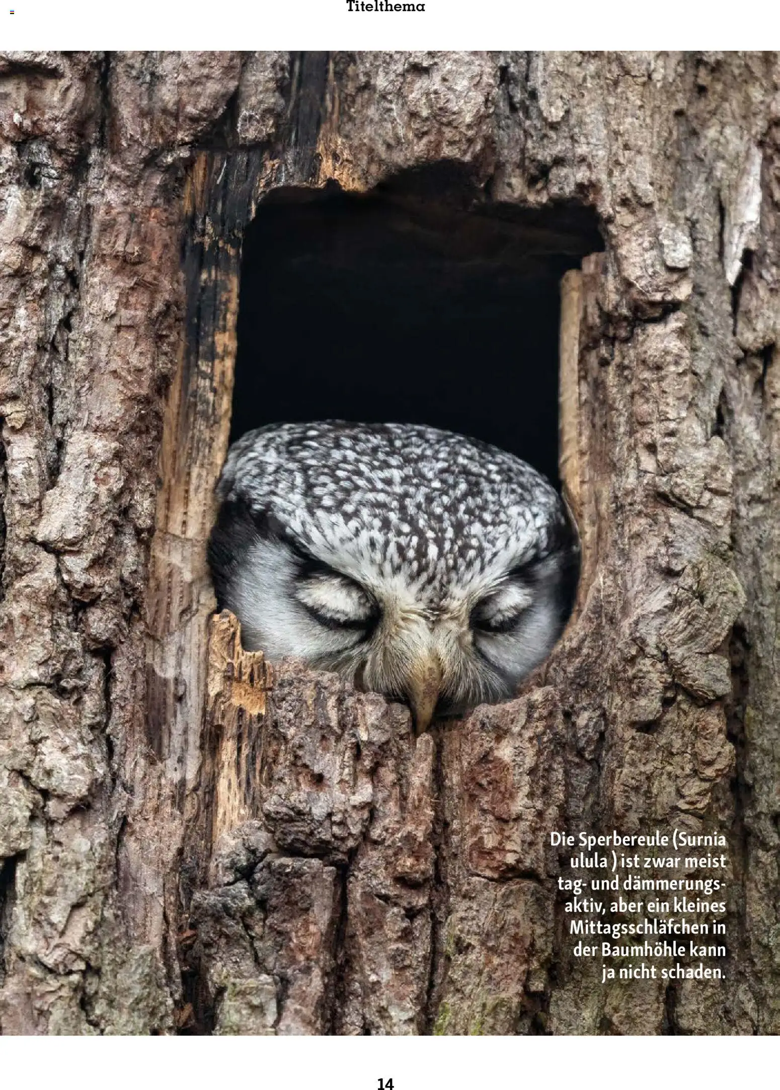 Fressnapf Magazin – gültig ab 01.11.2025 | Seite: 14