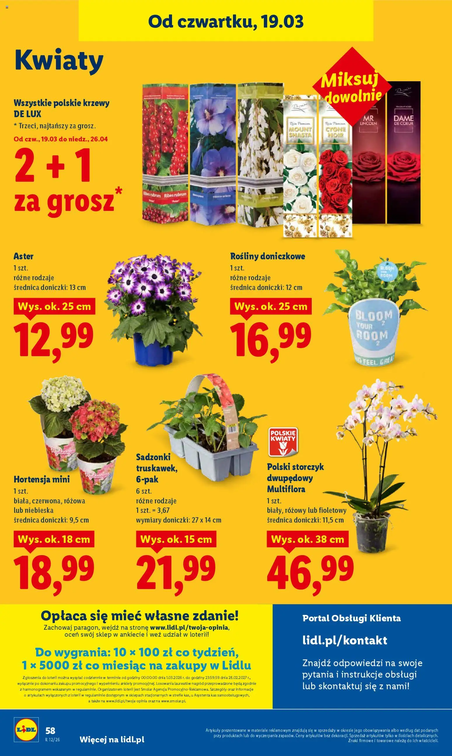 Lidl Polsko leták od 19.03.2026 | Strana: 58 | Produkty: Storczyk