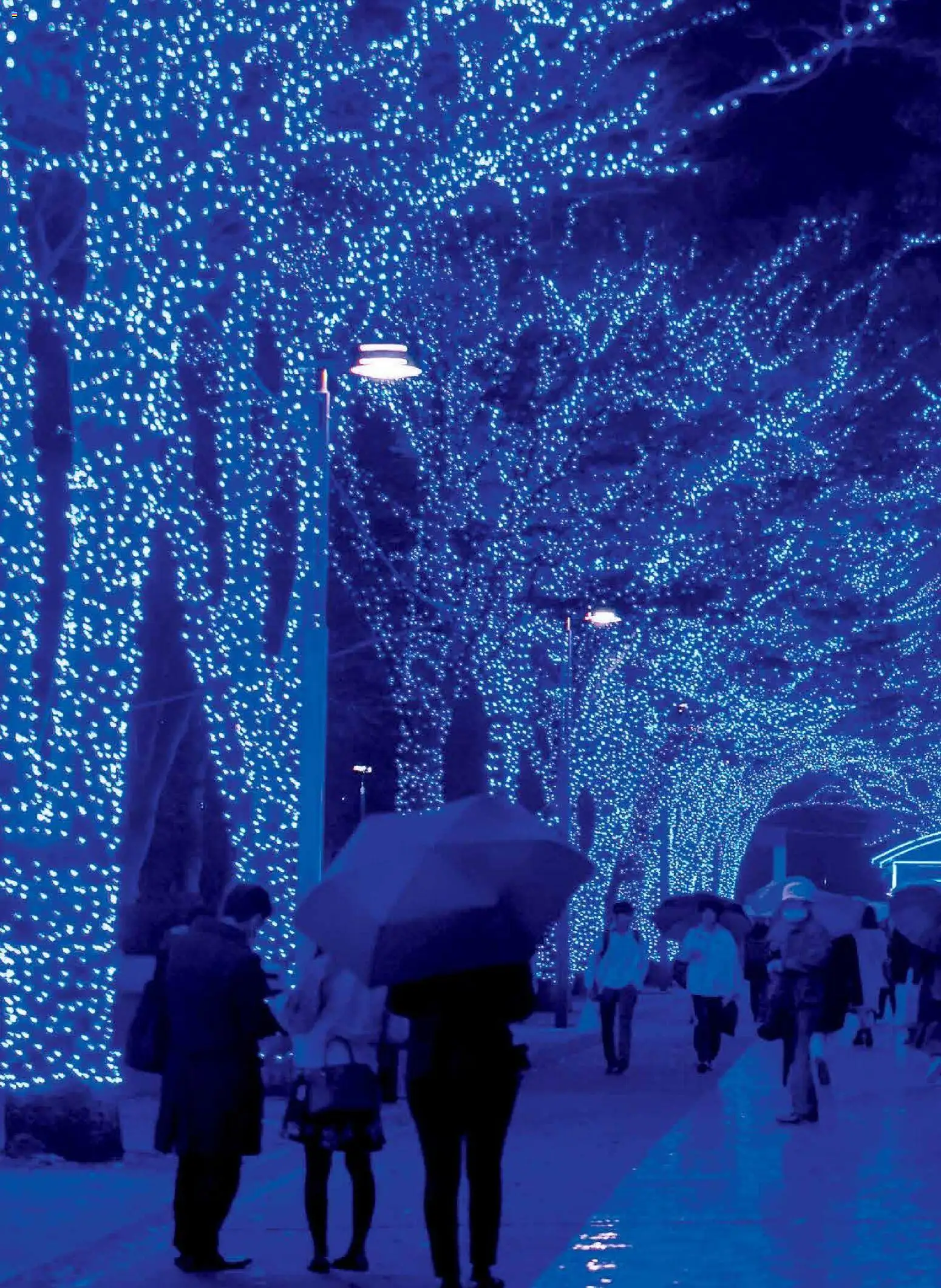 {H1} | Страница: 3