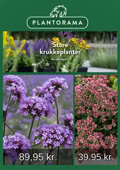 Eksempel på tilbudsavis Plantorama - Tilbudsavis fra butik Plantorama gyldig fra 10.07.2025