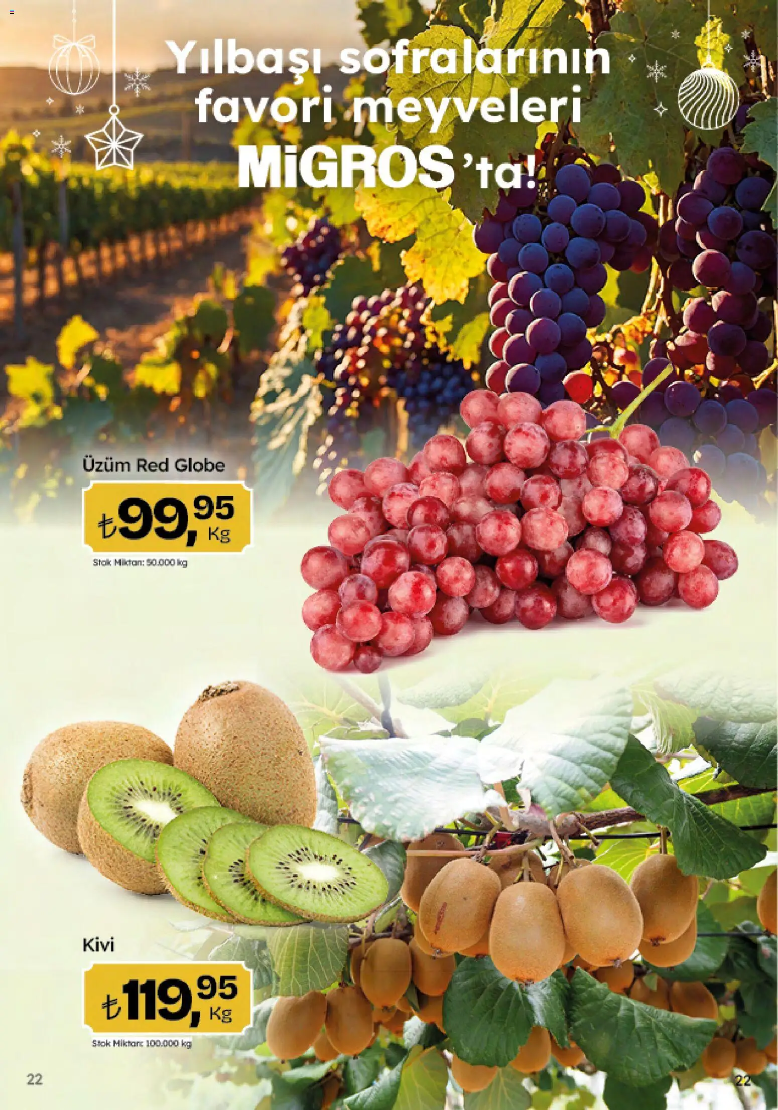 Migros Katalog - Migroskop - 18.12.2025 tarihinden itibaren geçerlidir | Sayfa: 22