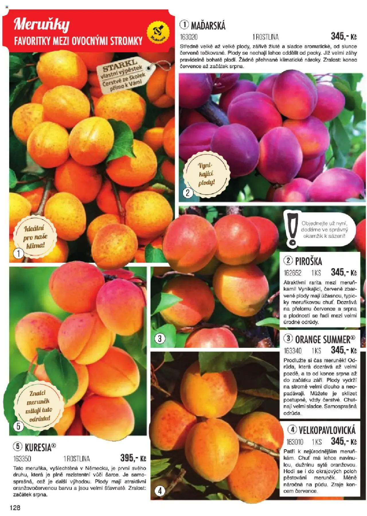 Starkl katalog jaro 2024 od 06.01.2025 | Strana: 128 | Produkty: Meruňky