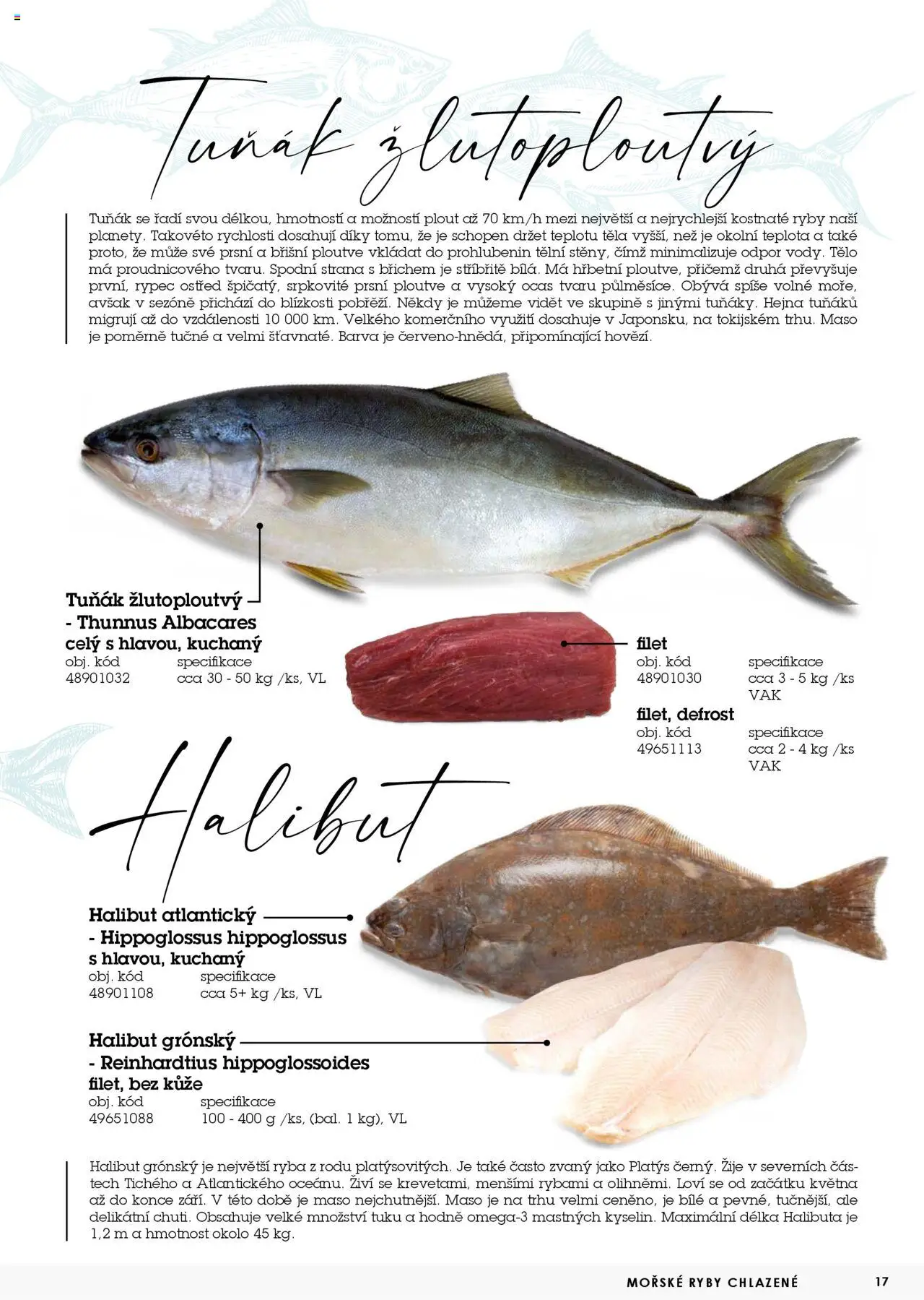 Jip katalog ryby 2024/25 od 30.12.2024 | Strana: 17 | Produkty: Tuňák, Halibut, Filet, Maso