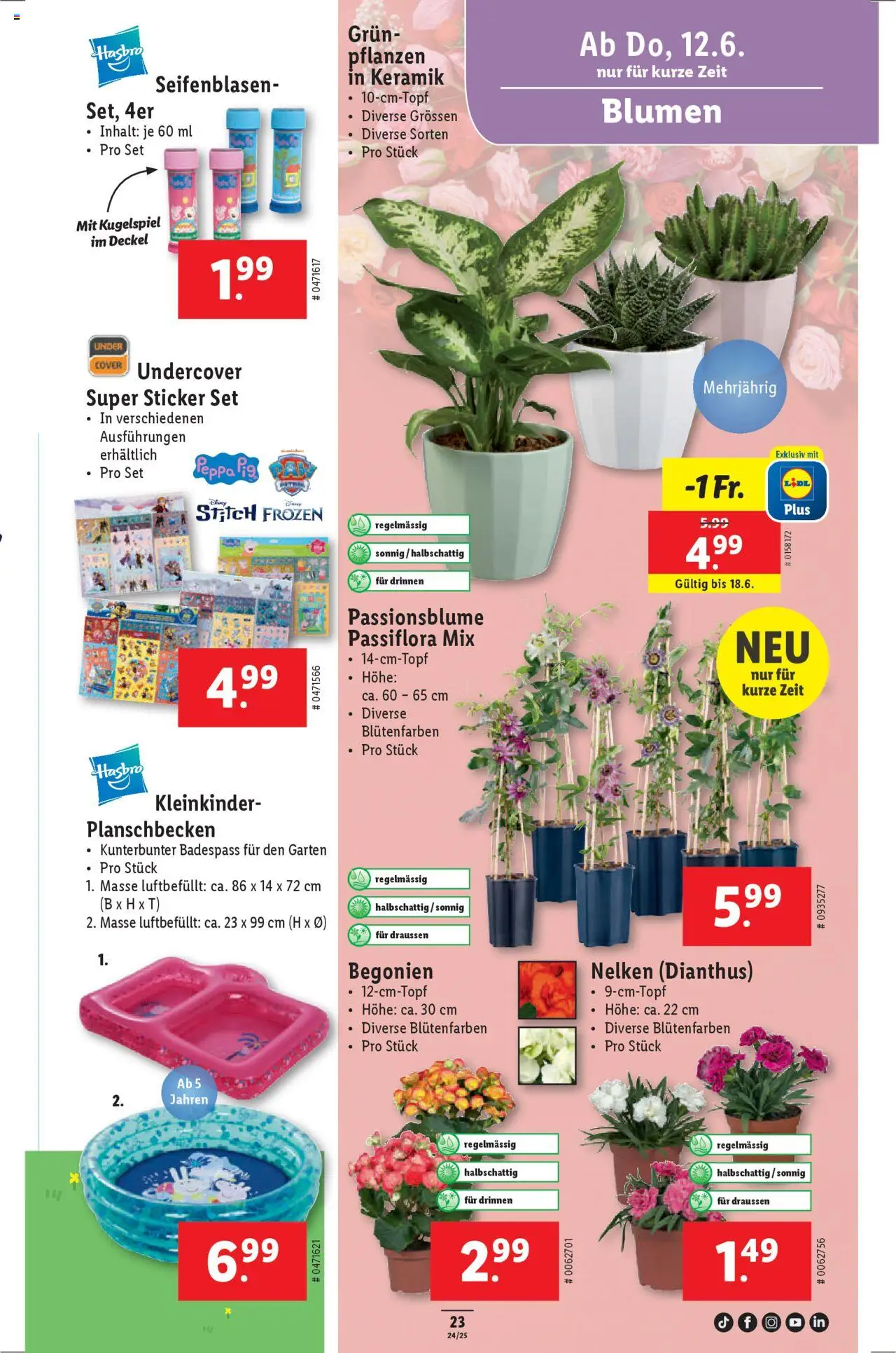 Lidl Aktionen ab 12.06.2025 | Seite: 23