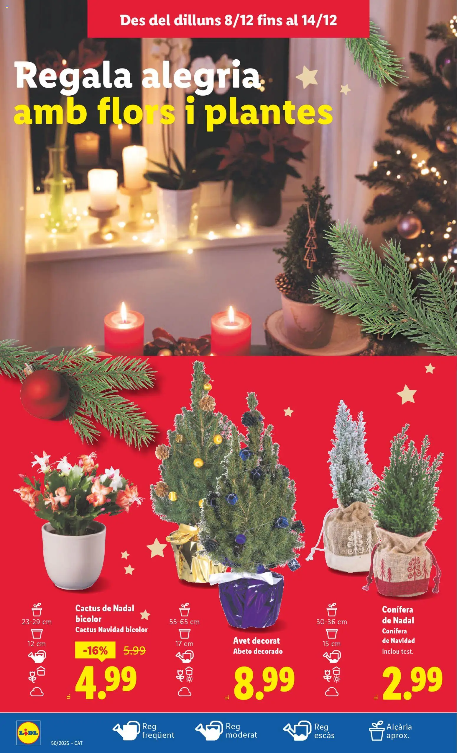 Lidl folleto │ válido desde el 08.12.2025 | Página: 52