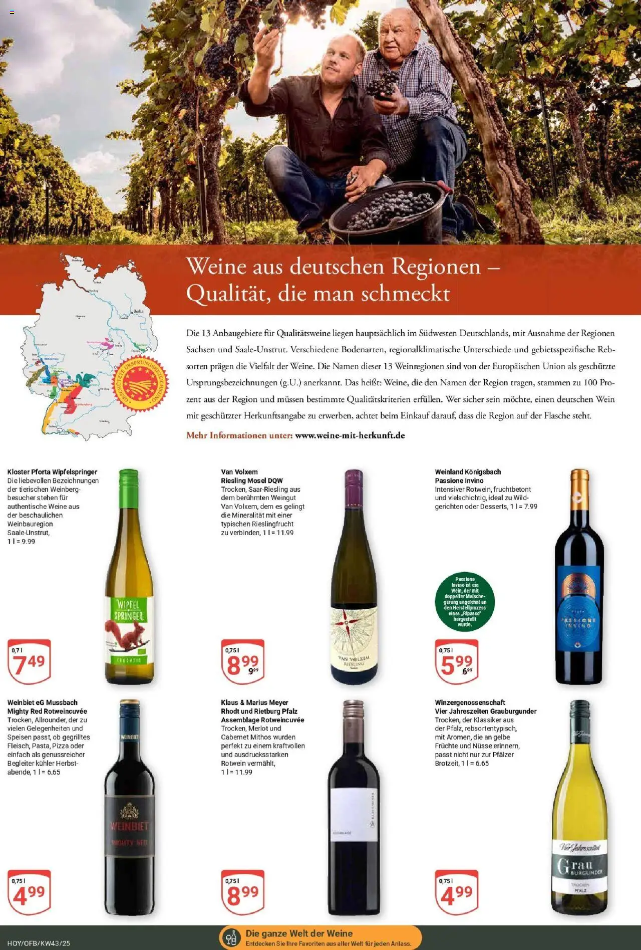 Globus prospekt Hoyerswerda	 – gültig ab 19.10.2025 | Seite: 19 | Produkte: Rotwein, Merlot, Pizza, Nüsse