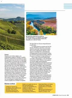 Vista previa Costco catálogo válido desde el 29.09.2025 | Página: 155 | Productos: Ηλεκτρονικα ειδη, Vino