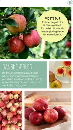 DANSKE ÆBLER, De danske klimaforhold med kolde nætter og svingende temperaturer gør, at danske æbler udvikler en særlig, nuanceret smag. Skønne i salater, som snack eller i havregrød. gyldig fra 28.02.2026 | Side: 10