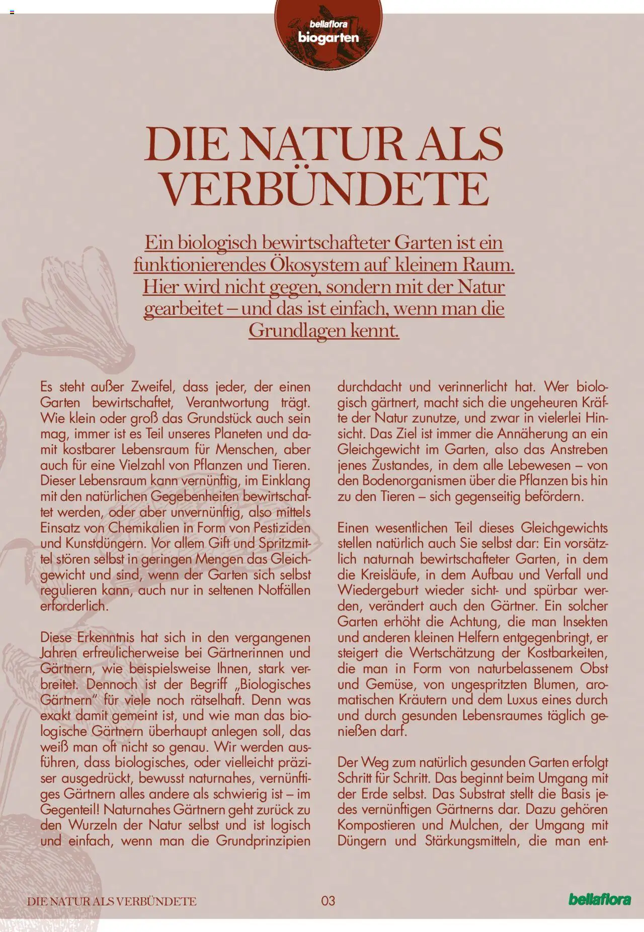 bellaflora Flugblatt gültig ab 24.06.2022 | Seite: 3
