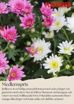 Plantagen - erbjudanden - Förhandsvisning av reklamblad från butik Plantagen aktuell från 01.08.2025