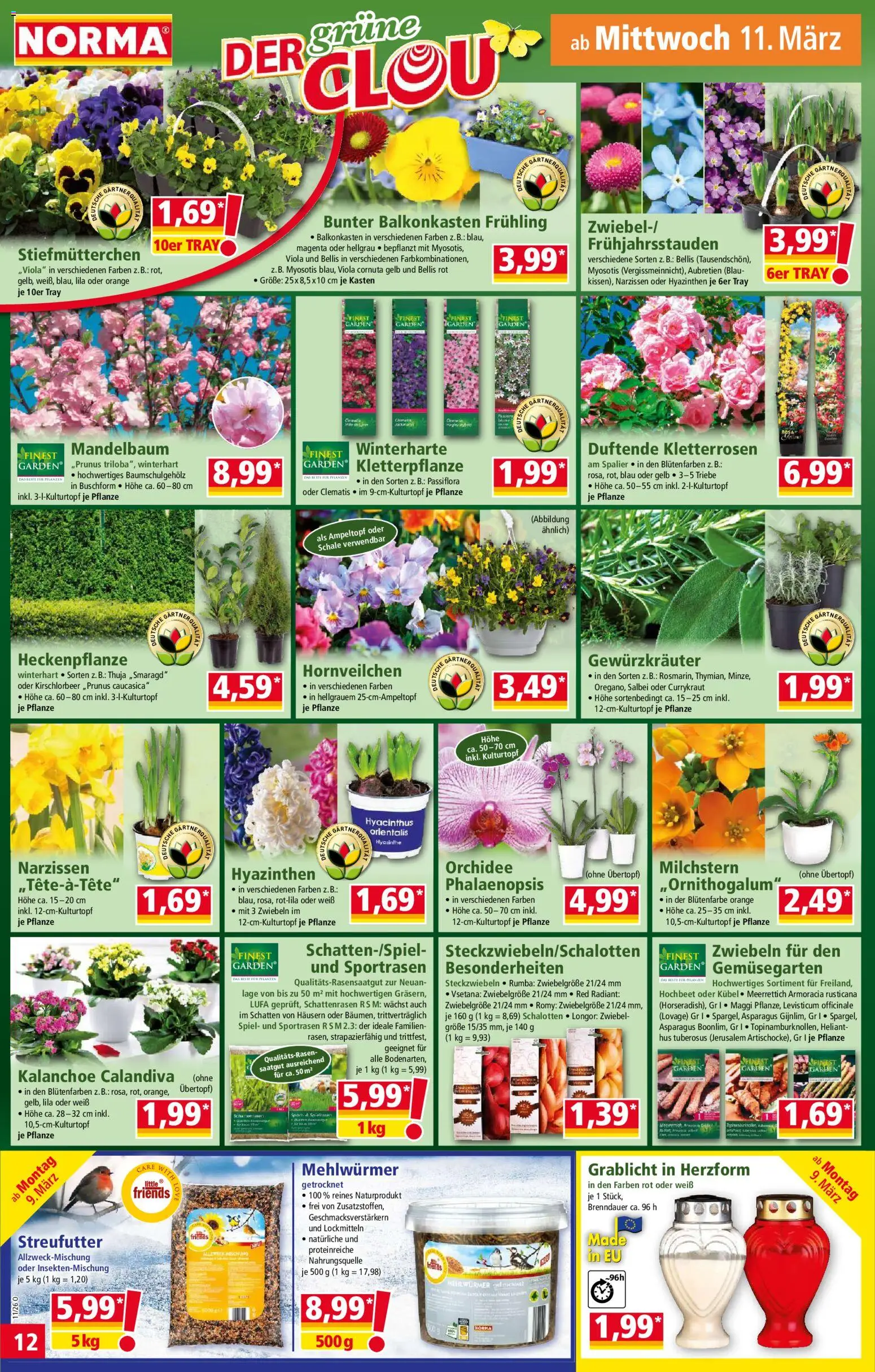 Norma Prospekt 	 – gültig ab 09.03.2026 | Seite: 12 | Produkte: Spiel, Hochbeet, Stiefmutterchen, Maggi