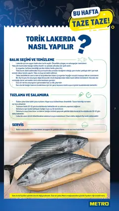 05.10.2025 tarihinden itibaren geçerli olan Metro kataloğu önizlemesi | Sayfa: 7 | Ürünler: Diş fırçası, Balık, Su