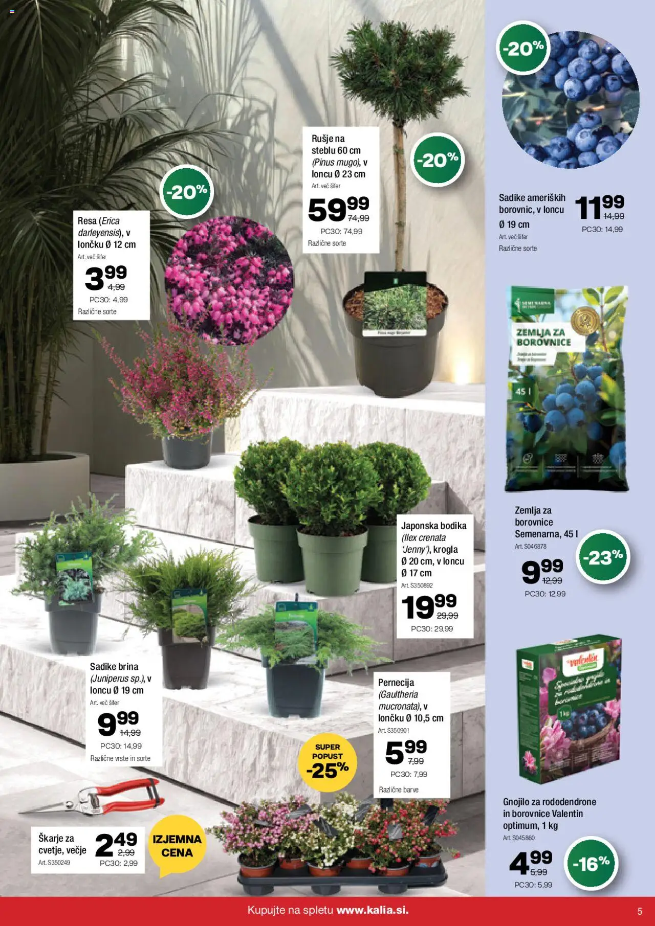 Novi Kalia katalog ponudbe – veljaven od 22.09.2025 | Stran: 5 | Izdelki: Žemlja, Borovnice
