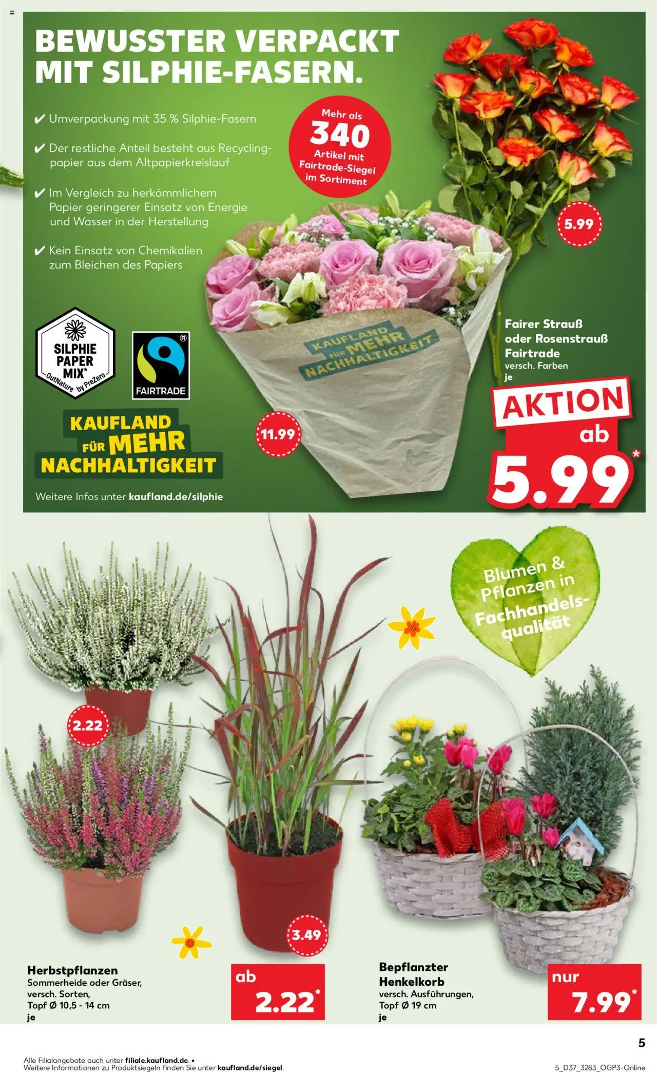 Kaufland prospekt Rostock	 – gültig ab 11.09.2025 | Seite: 5 | Produkte: Blumen, Wasser