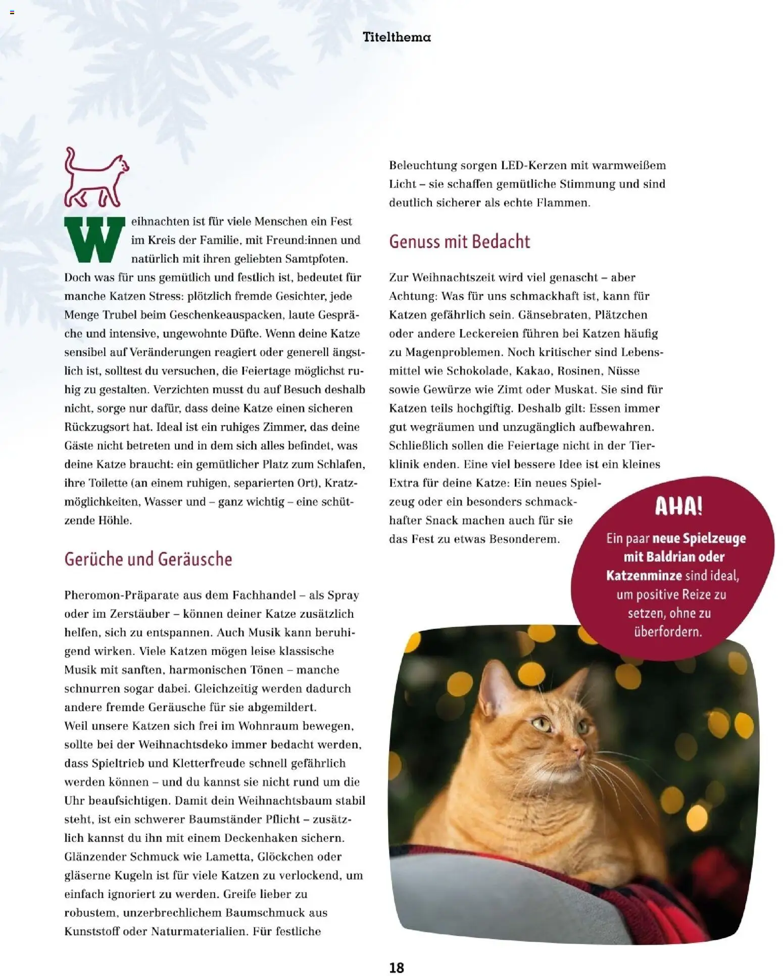 Fressnapf Friends 06/25 gültig ab 01.11.2025 | Seite: 18 | Produkte: Nüsse, Gewürze, Uhr, Toilette