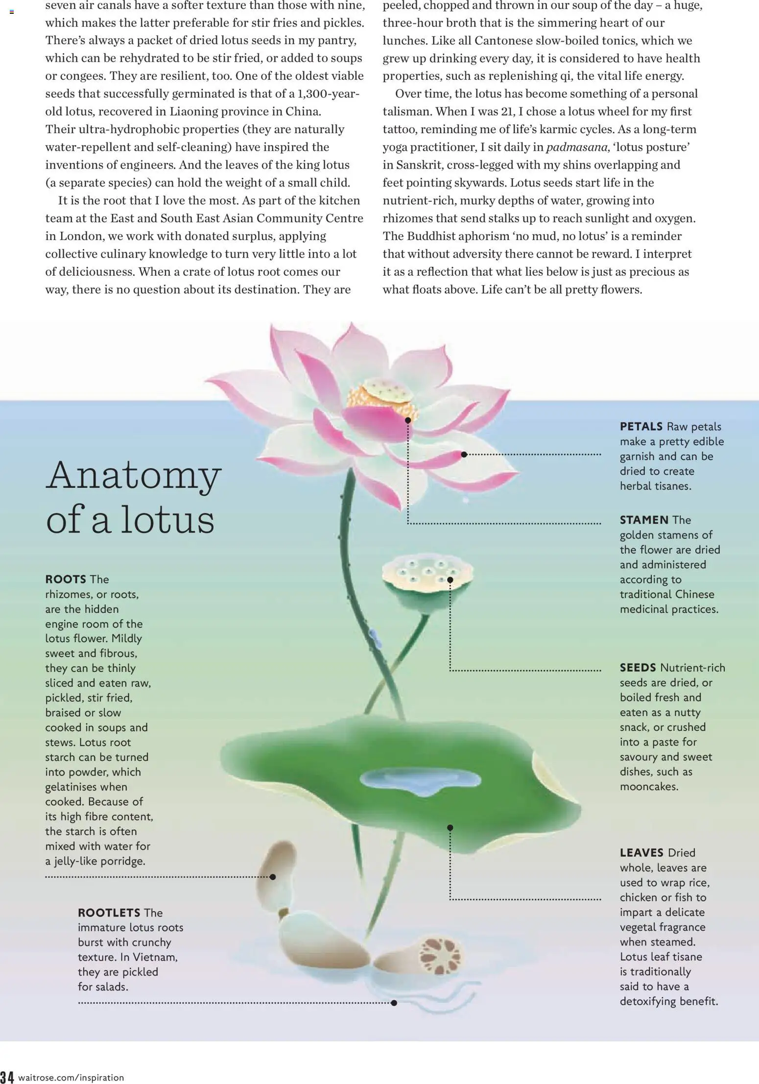 {H1} | Page: 34 | Products: Chicken, Fragrance, Soup, Weight