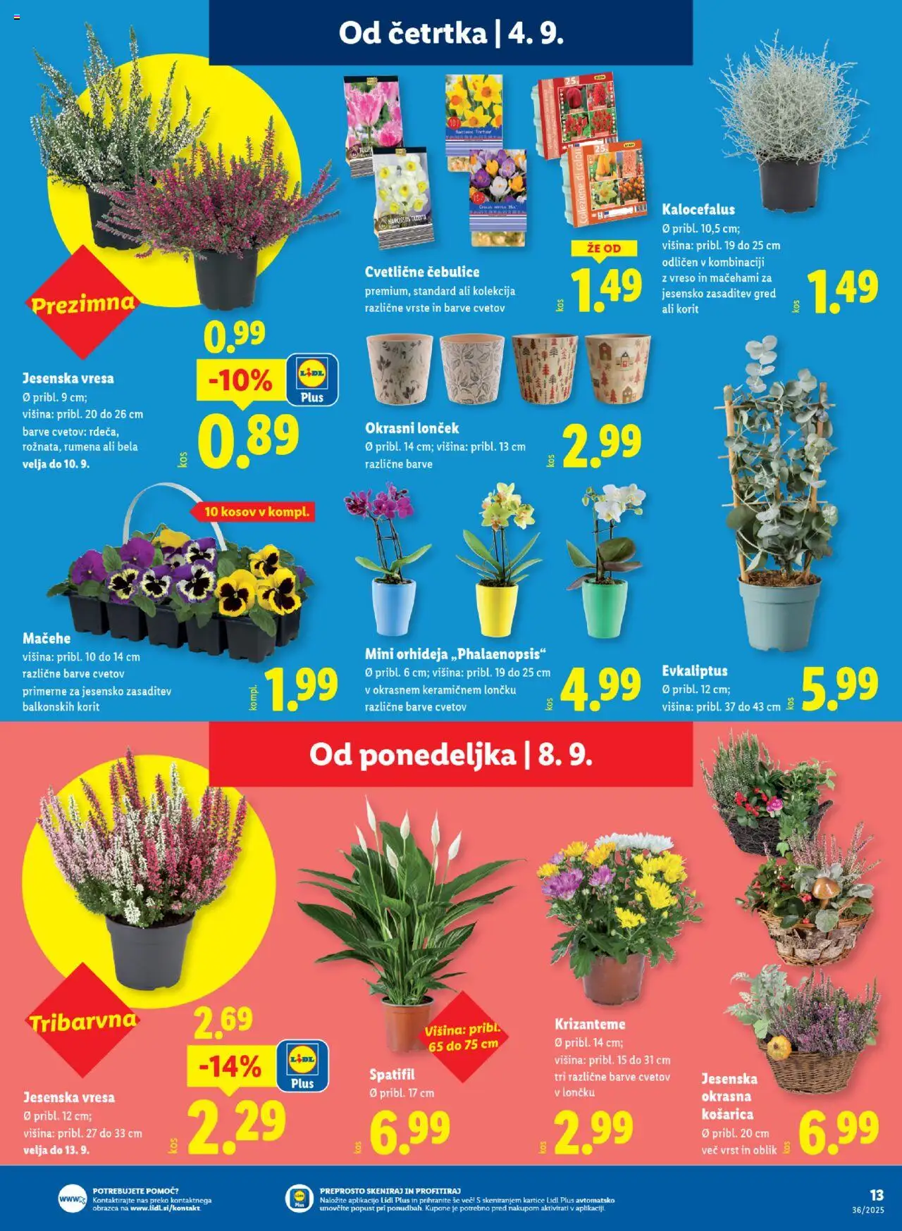 Novi Lidl katalog ponudbe – veljaven od 04.09.2025 | Stran: 21 | Izdelki: Okrasni loncek